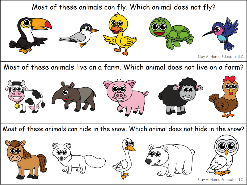 Little and Junior Sprouts May 11th Sprouts Academy