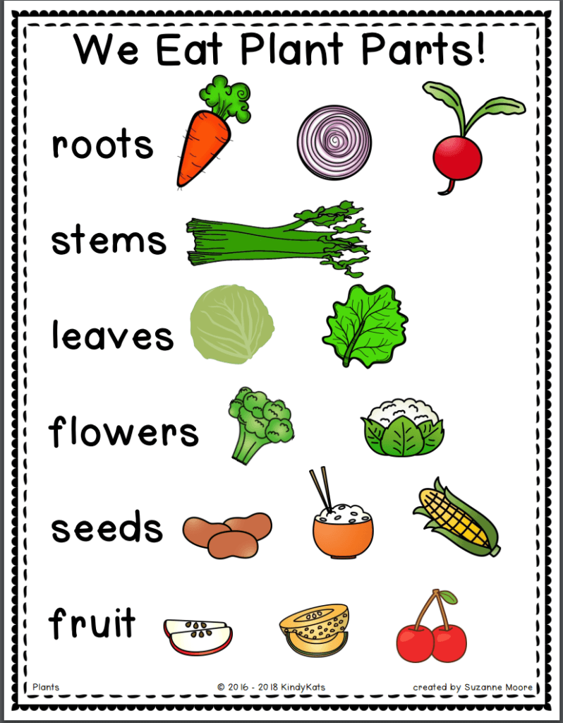 Little Sprouts & Junior Sprouts May 6th Sprouts Academy