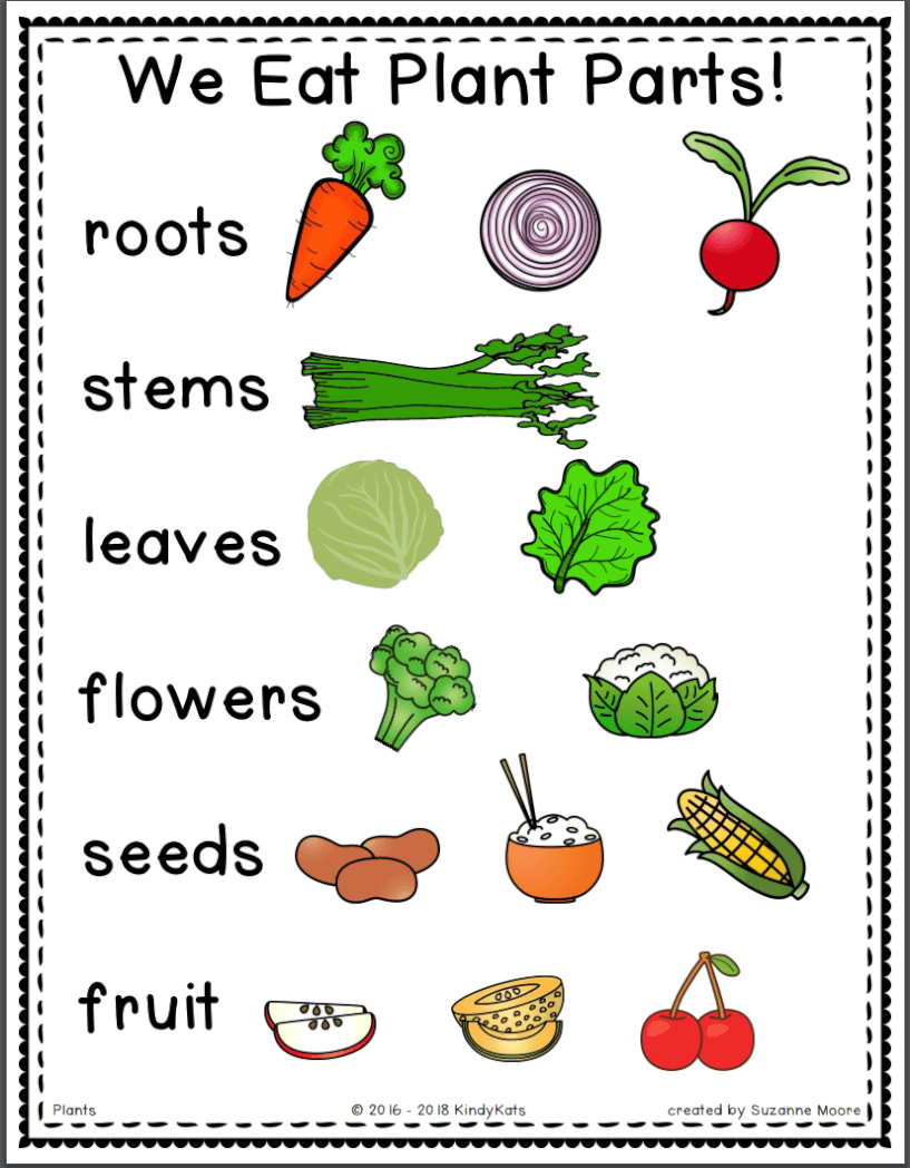 Little Sprouts & Junior Sprouts May 6th Sprouts Academy