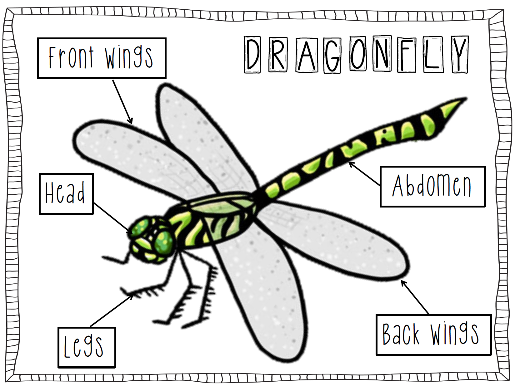 June 1st 5th Sprouts Academy