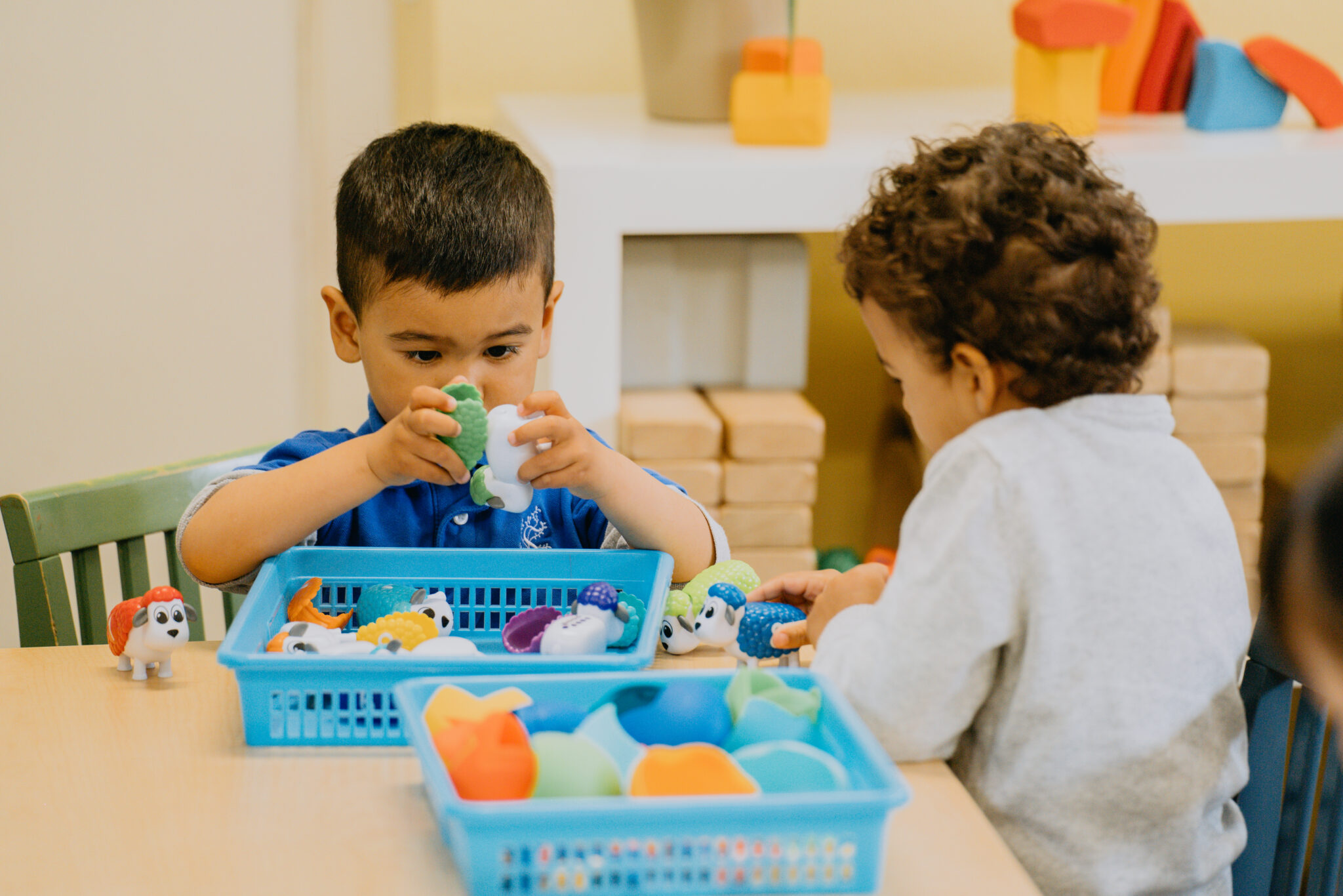 Preschool Programs Sprouts Academy