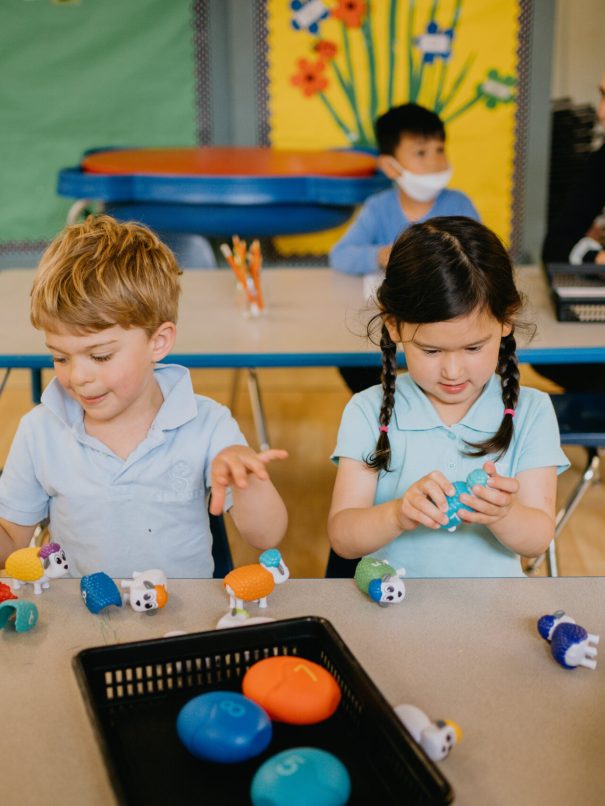 Sprouts Academy Vancouver Preschool Small Group Learning for